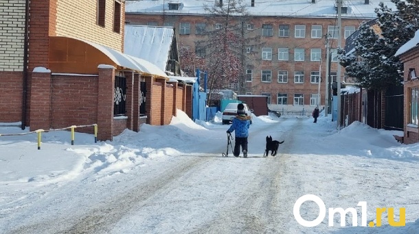 В Омске неизвестный мужчина на глазах у прохожих пытался украсть трёхлетнего ребёнка