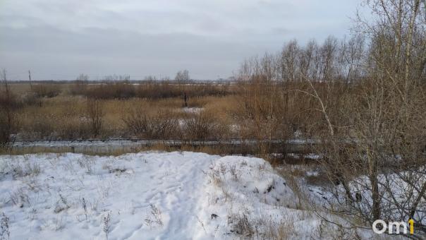 Иностранца отправили в колонию строгого режима за попытку прорваться в Омск