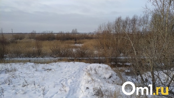 Иностранца отправили в колонию строгого режима за попытку прорваться в Омск
