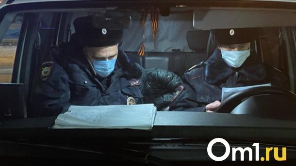 Прокуратура помогла 1,5 тысячи многодетных семей в НСО получить землю