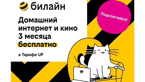 Базя, Пинг и Пуш сделают бесплатными первые 3 месяца домашнего интернета от билайн