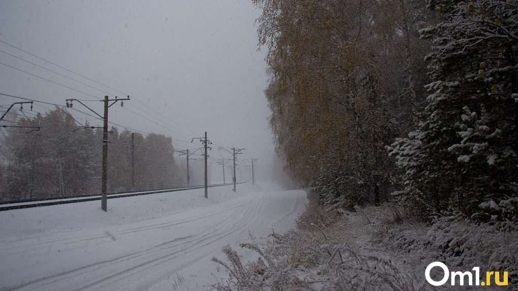 Новосибирский агроном заявила, что бесснежная зима может привести к сильным паводкам