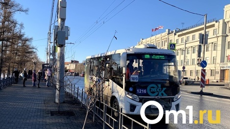 Омичка пожаловалась на автобусы, угнетающие её дочь