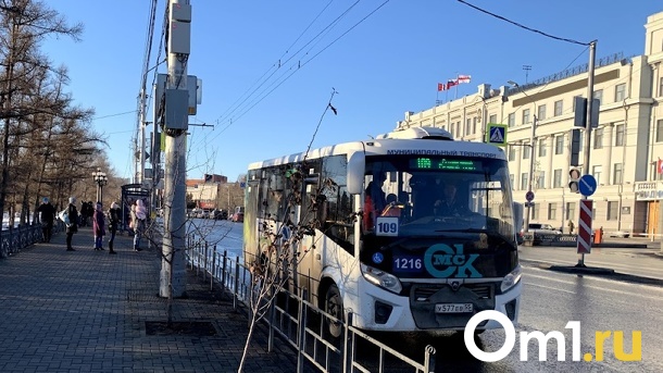 Омичка пожаловалась на автобусы, угнетающие её дочь