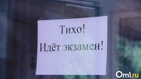 Страх, тревога и паника. Омский психолог рассказал, как успокоить школьника перед сдачей ЕГЭ