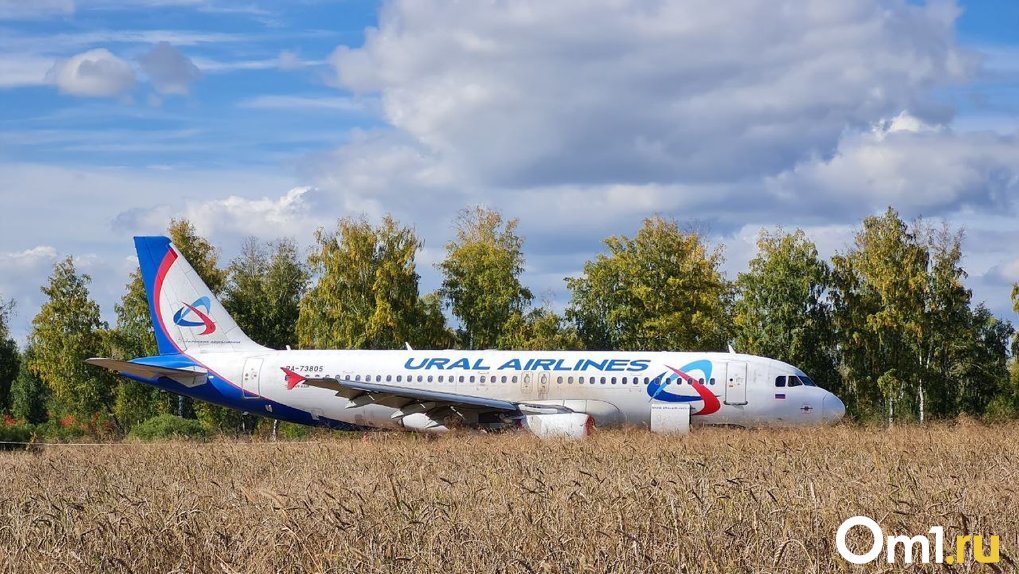 Севший на поле самолёт Сочи – Омск может улететь своим ходом