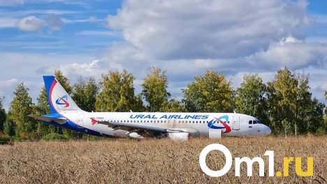 Севший на поле самолёт Сочи – Омск может улететь своим ходом