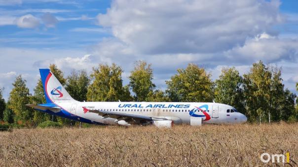 Севший на поле самолёт Сочи – Омск может улететь своим ходом