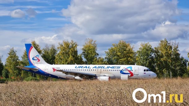 Севший на поле самолёт Сочи – Омск может улететь своим ходом