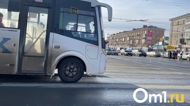 Стало известно, по каким маршрутам омичей бесплатно развезут после «Крымской весны»