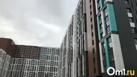 Ванна на постаменте и леопарды на стенах. Топ квартир с необычным ремонтом в Омске