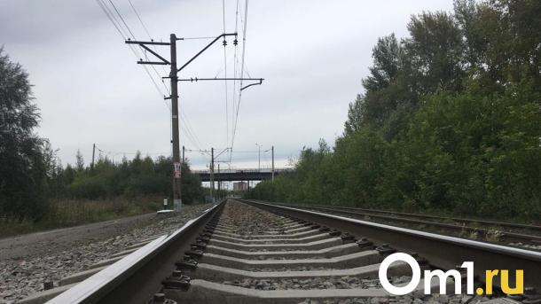 Подросток погиб под поездом в Новосибирской области