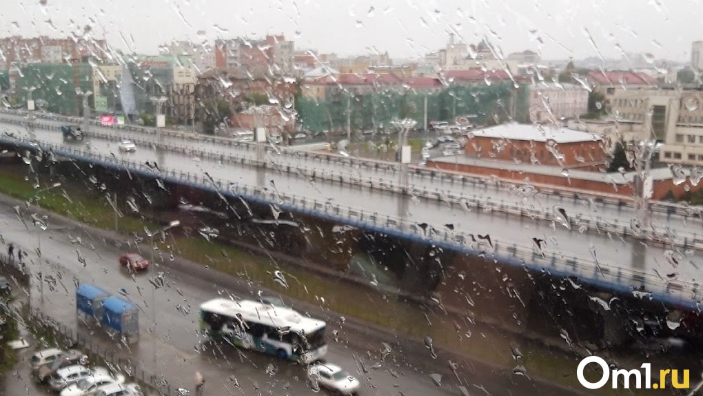 В Омске после солнечной недели вернутся дожди