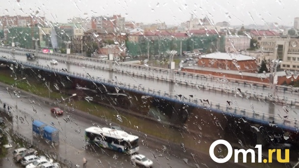 В Омске после солнечной недели вернутся дожди