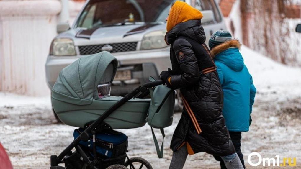 В Соцфонде рассказали о пособиях, которые могут получить беременные сибирячки