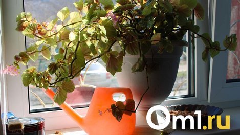 На следующей неделе Омская область окажется в зоне самого мощного циклона в Сибири