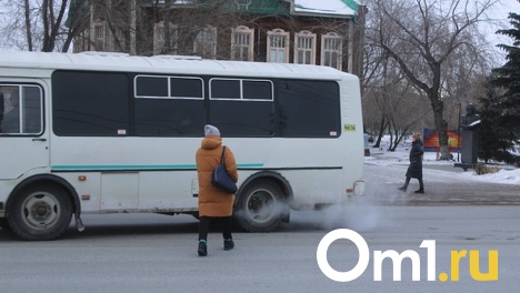 Омская мэрия объяснила, почему жителей пригородов пересадили на ПАЗы