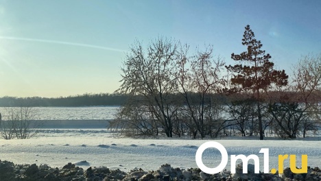 В Омской области с 1 апреля вводится особый режим из-за очередной угрозы