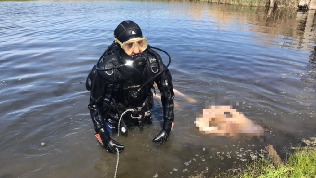 В Новосибирской области водолазы вытащили на берег тело человека