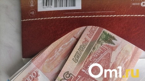 Пытались дать министру 13 млн рублей: новосибирцев осудили за взятку