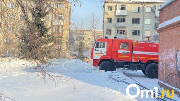 Более 30 пожаров потушили в Новосибирске за неделю — есть один погибший