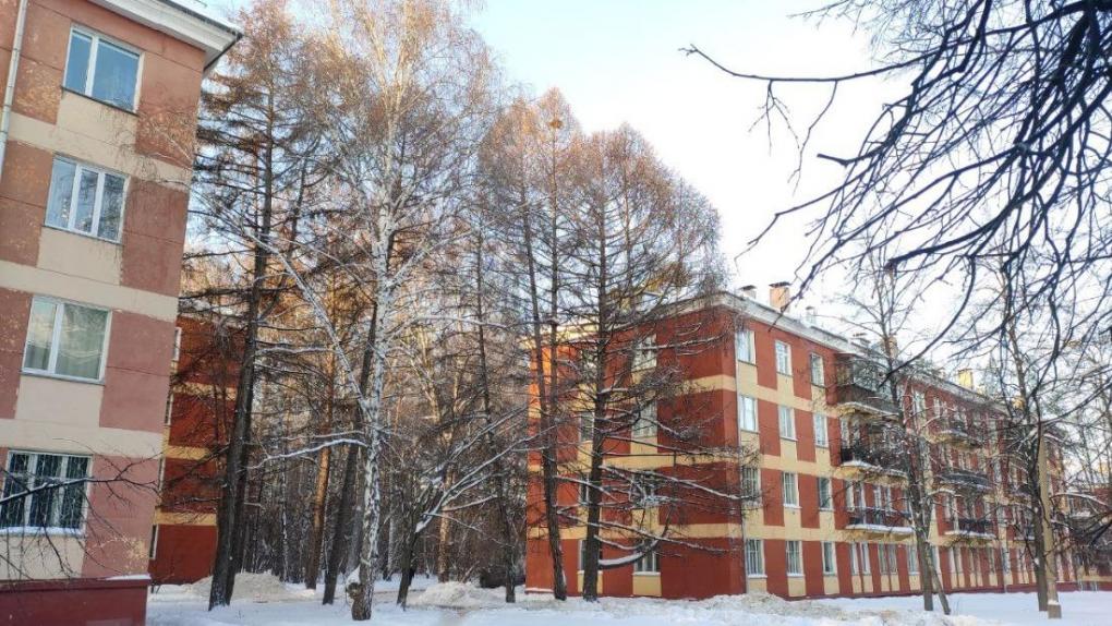 Снегопад и понижение температуры обещают в Новосибирске 10 и 11 февраля