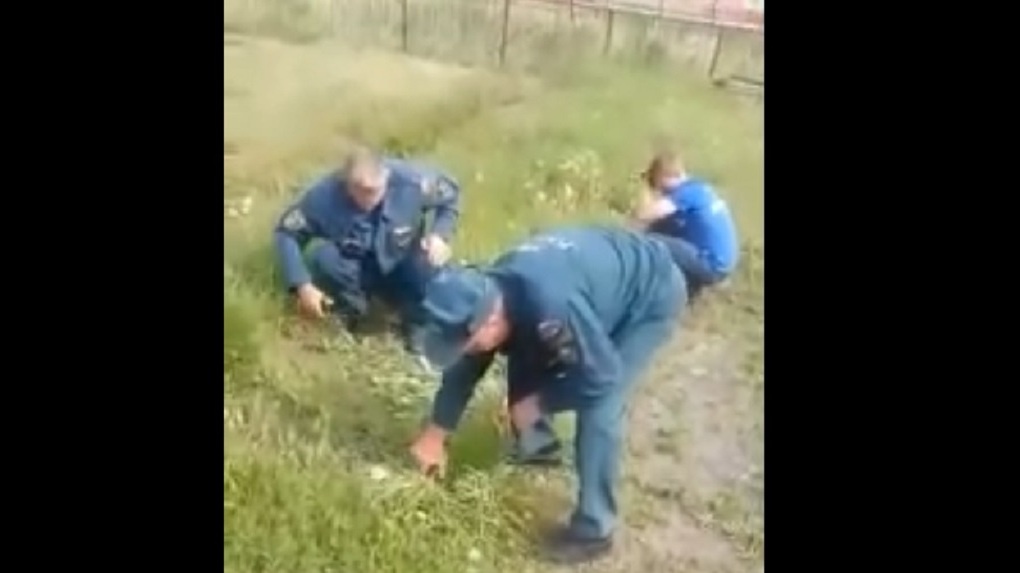 Смешное видео: в Новосибирской области спасателей заставили стричь траву маникюрными ножницами