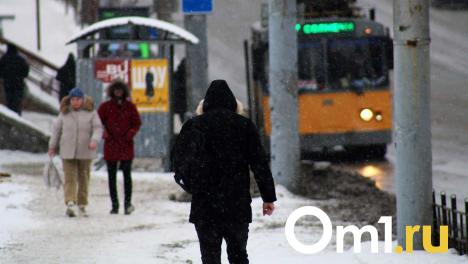 Омичей возмутило отсутствие остановок на улице Маяковского