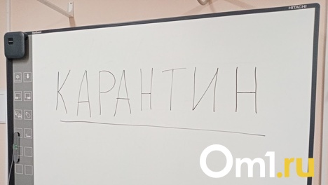 Уже 25 школ в Омской области закрыли из-за резкого роста заболевших