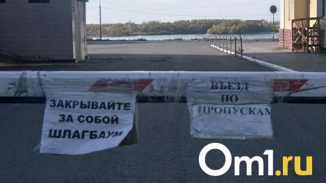 Поезда и многодетные дачники заблокировали улицу на окраине Омска