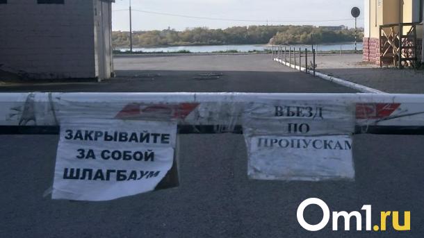 Поезда и многодетные дачники заблокировали улицу на окраине Омска