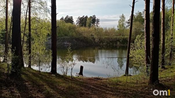 Ребёнок утонул во время купания в Новосибирской области