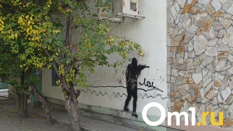 В Омске будут судить студента, который открыл стрельбу из винтовки по детям