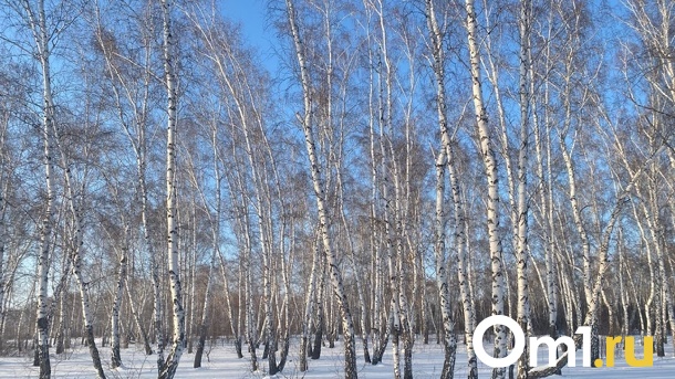 Полицейские полгода ищут омича с ампутированной ногой, сбежавшего из дома престарелых