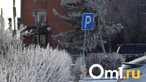 Омич, которого обвинили в парковке на местах для инвалидов, оказался инвалидом