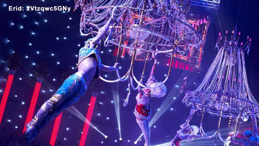 В Новосибирске продолжаются гастроли нового шоу Гии Эрадзе «Королевский цирк»