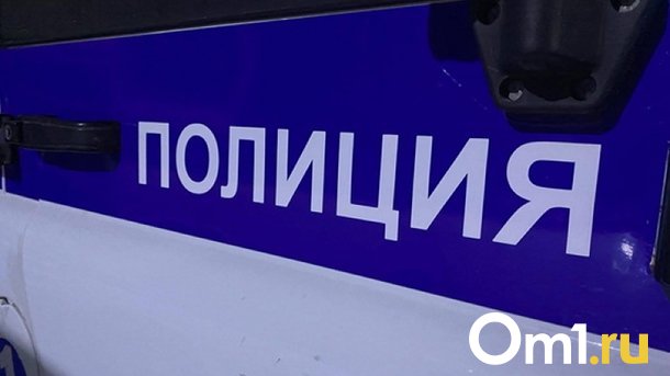 Омич пытался вынести из магазина роботы-пылесосы, спрятав их под курткой