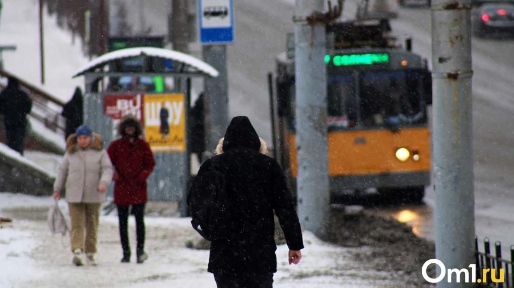 Зачем в Омске нужны остановки «По требованию»?