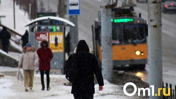 Зачем в Омске нужны остановки «По требованию»?