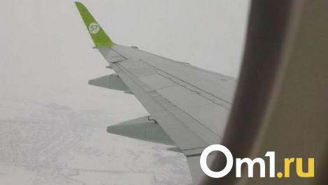 Летевший в Новосибирск самолёт подал сигнал бедствия из-за малого остатка топлива