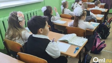 Жители Новосибирска жалуются на подозрительного мужчину около школы №13