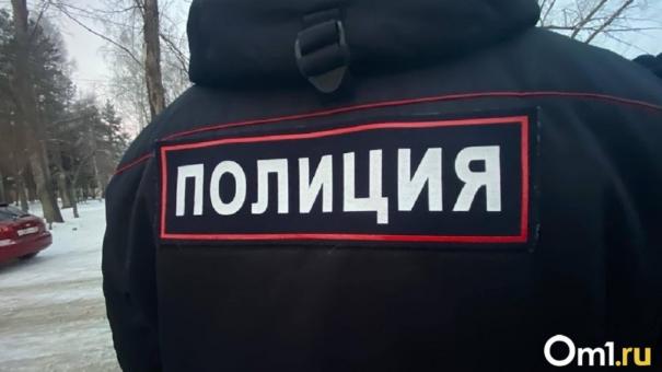 В Новосибирске ищут пострадавших от блогера-хама пенсионерок