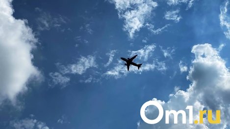 Диспетчер рассказал, почему самолёт из Сочи не смог приземлиться в Омске