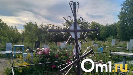 В Омске ищут подрядчика для разработки проекта нового кладбища