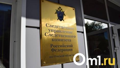 Омский Следком рассказал, как расследуется дело о смерти 15-летней москвички