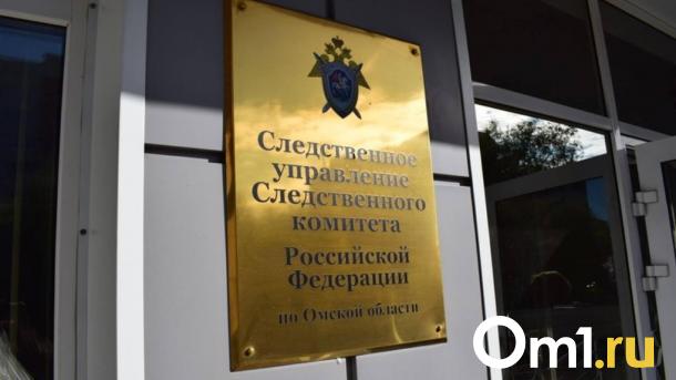 Омский Следком рассказал, как расследуется дело о смерти 15-летней москвички