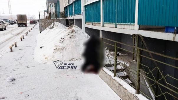 Труп девушки на перилах обнаружили возле новосибирской многоэтажки