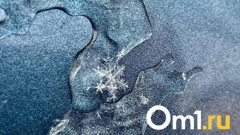 Почти -30 °C: Омскую область ждёт мощное похолодание