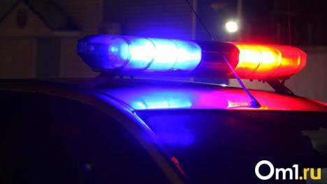 Пьяный омич угнал машину и протаранил стену частного дома