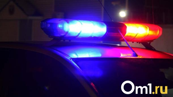 Пьяный омич угнал машину и протаранил стену частного дома